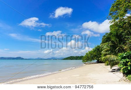 Coast of Phuket. Thailand Tree in front view and background with moutain and blue sky