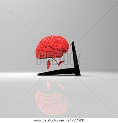 Brain