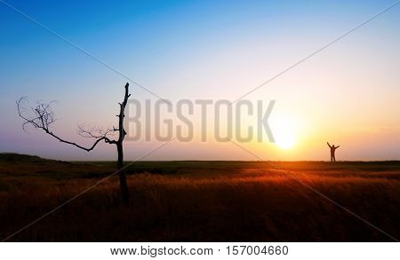 boundless clouds copper ear evening far fog gold grass low quiet rest sand shine smoke steppe sun sunset wilderness