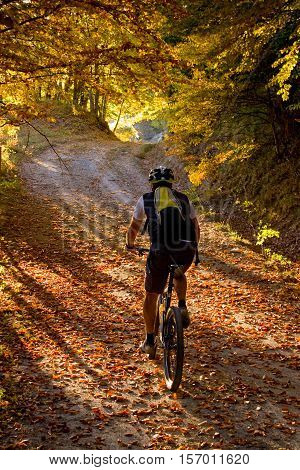 Tiravento Mount Premilcuore Forli forest agricultural heritage riding mountain bike in the Casentin Forest in Romagna