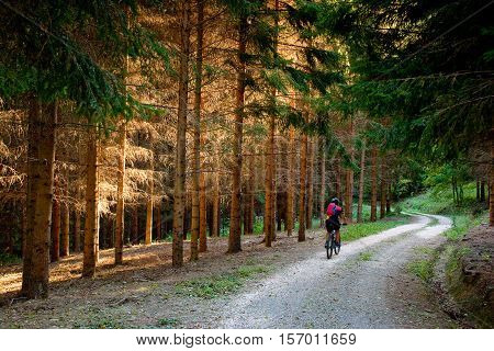 Tiravento Mount Premilcuore Forli forest agricultural heritage riding mountain bike in the Casentin Forest in Romagna