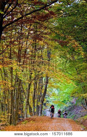 Tiravento Mount, Premilcuore,  Forli, Romagna - Riding Mountain Bike