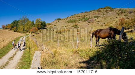 Tiravento Mount, Premilcuore,  Forli, Romagna - Riding Mountain Bike