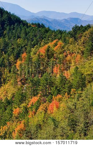 Tiravento Mount Premilcuore Forli forest agricultural heritage riding mountain bike in the Casentin Forest in Romagna