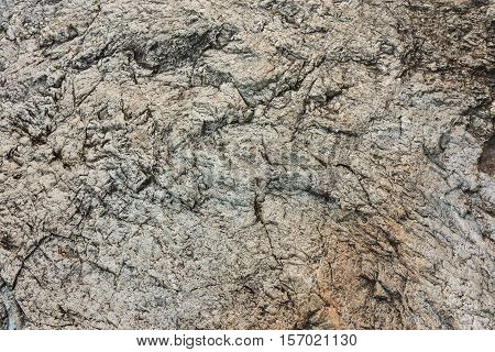 Granite Rock Texture With Dry Leaf