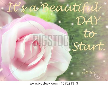 Quote It's a beautiful day to start on sweet dreamy and soft focus background blooming of pink rose