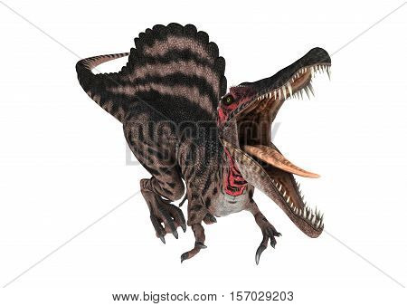 3D Rendering Dinosaur Spinosaurus On White