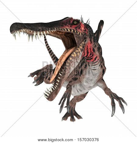 3D Rendering Dinosaur Spinosaurus On White