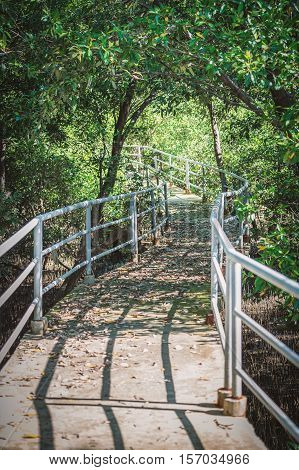 Nature walkway inside wetland near beach has many old leaves on floor covered by green mangrove tree on sunny day.
