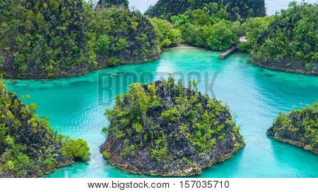 Painemo Island, Blue Lagoon, Raja Ampat, West Papua Indonesia
