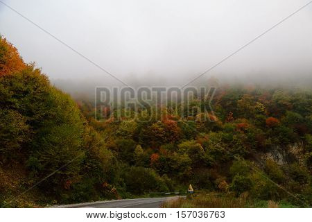misty and cloudy autumn high in the mountains. Different colors of autumn