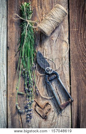 Closeup Of Fresh Lavender On Old Wooden Table