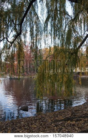 Autumn On Central Park, New York