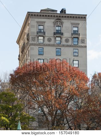 Autumn Colored Trees With Buildings Behind Them