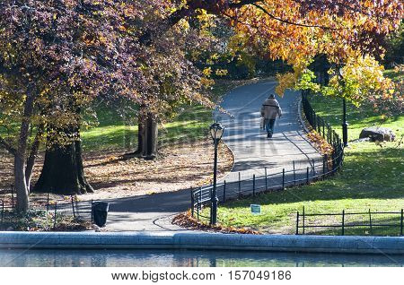 Colorful autumn garden in Central Park in New York