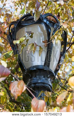 Detail of lamp post design Central Park in New York