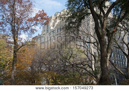 Autumn Colored Trees With Buildings Behind Them