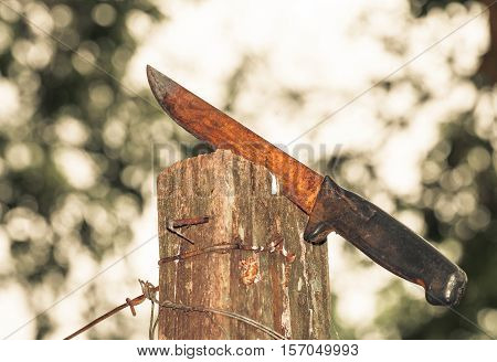 Rusty knife stuck on a wooden board surrounded by iron wires.