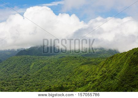 Rainforest landscape view in Monteverde Costa Rica