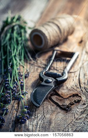 Healthy Lavender On Old Wooden Table On Old Wooden Table