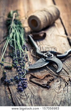 Aromatic Lavender Before Drying On Old Wooden Table