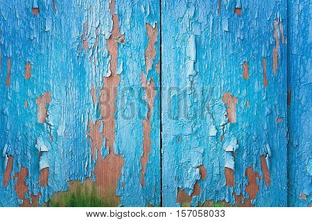 Vintage Blue Wood Background With Peeling Paint