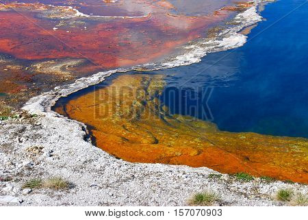 Rainbow pool heated by geysers in Yellowstone National Park Wyoming.