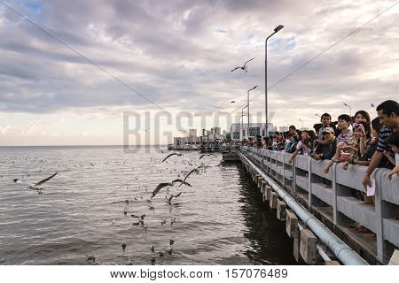 Tourists Enjoy Feeding Seagull