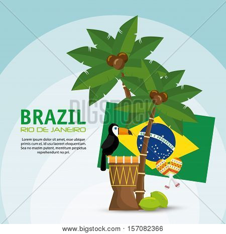 poster brazil macaw drum palm flag vector illustration eps 10