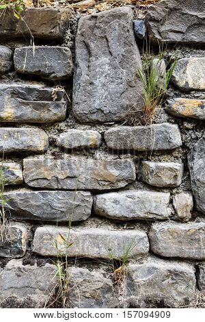 Detail from an old stone wall with grass growing in the cracks and mortar
