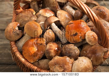 Forest Edible Mushrooms Leccinum Scabrum In Wicker Basket On Old Wooden Table Close Up. Harvesting Mushrooms. Selective Focus.