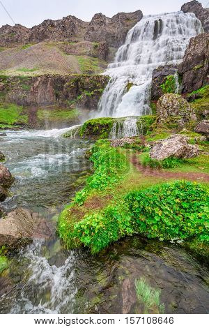 At The Foot Of A Waterfall Dynjandi In Iceland