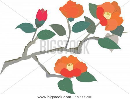 Ramo com flores