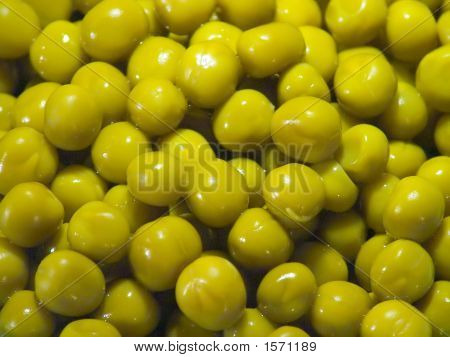 Marrowfat
