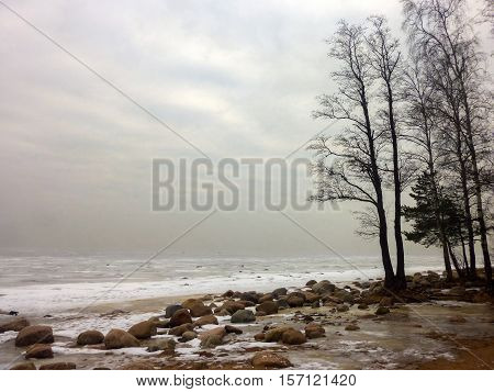 a foggy coast of the frozen winter sea. Finnland bay