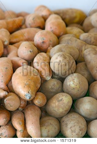 Batatas