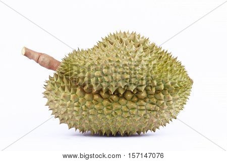 durian mon thong  is fruit  tropical durian and  king of fruits durian on white background healthy durian fruit food isolated