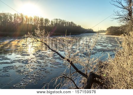 covered by rime plants on the banks of the freezing and foggy river