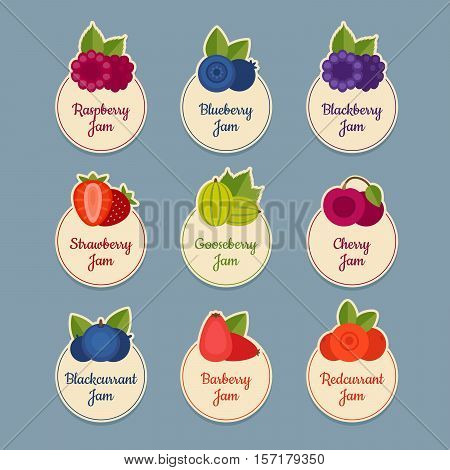 Berry icon set. Labels with berries. Flat style vector illustration.