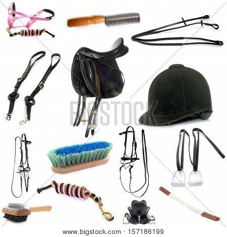 equipments of horse riding in front of white background