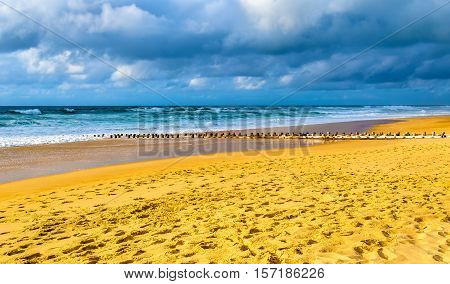 Beach on the Atlantic Ocean near Seignosse - France, Aquitaine