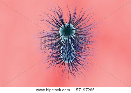 Escherichia coli bacterium, 3D illustration. Gram-negative bacterium with peritrichous flagella which is part of normal intestinal microflora and also causes enteric and other infections