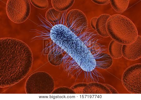 Escherichia coli bacterium in blood, 3D illustration. Sepsis, bacteriemia