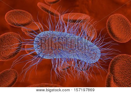 Escherichia coli bacterium in blood, 3D illustration. Sepsis, bacteriemia