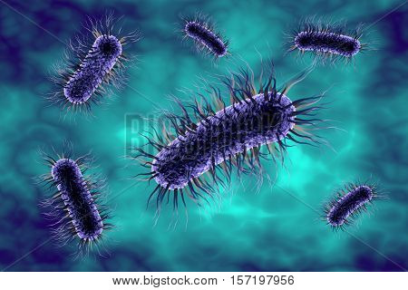 Escherichia coli bacterium, 3D illustration. Gram-negative bacterium with peritrichous flagella which is part of normal intestinal microflora and also causes enteric and other infections