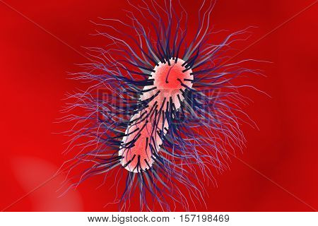 Escherichia coli bacterium, 3D illustration. Gram-negative bacterium with peritrichous flagella which is part of normal intestinal microflora and also causes enteric and other infections
