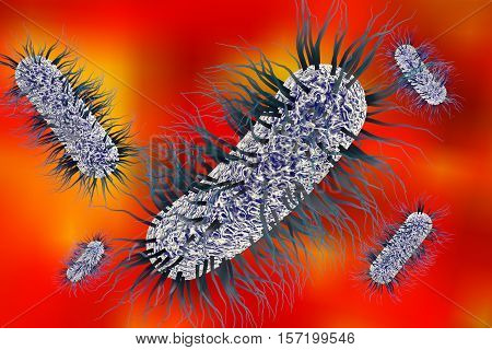 Escherichia coli bacterium, 3D illustration. Gram-negative bacterium with peritrichous flagella which is part of normal intestinal microflora and also causes enteric and other infections