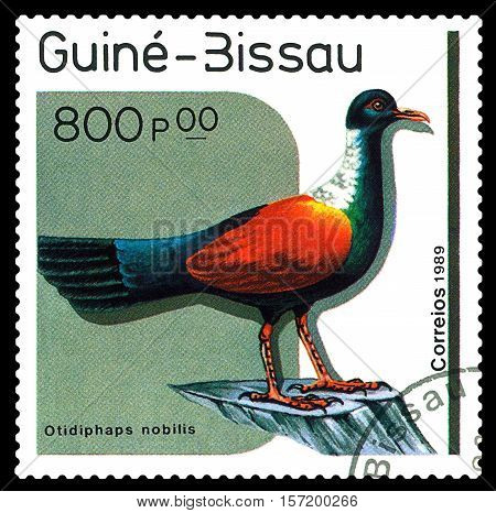 STAVROPOL RUSSIA - November 18 2016: A stamp printed by Guinea Bissau shows bird Otidiphaps nobilis circa 1989