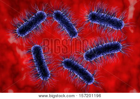 Escherichia coli bacterium, 3D illustration. Gram-negative bacterium with peritrichous flagella which is part of normal intestinal microflora and also causes enteric and other infections