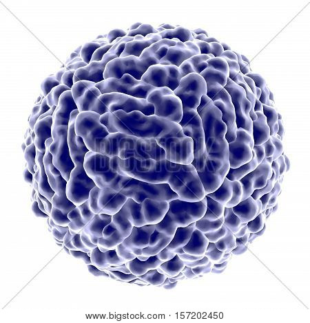 Dengue virus which causes yellow fever and is transmitted by mosquito, 3D illustration. A model is built using data of viral macromolecular structure furnished by Protein Data Bank, PDB 3J 27